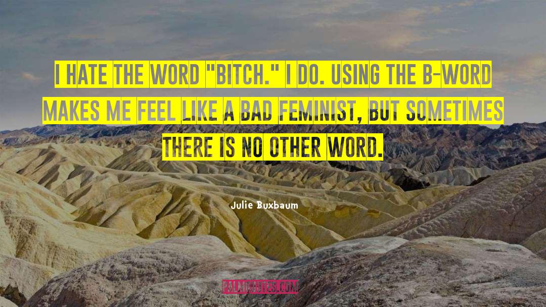 Julie Buxbaum Quotes: I hate the word 