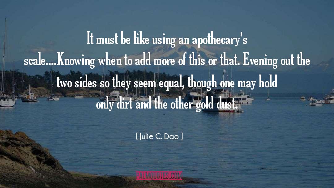 Julie C. Dao Quotes: It must be like using