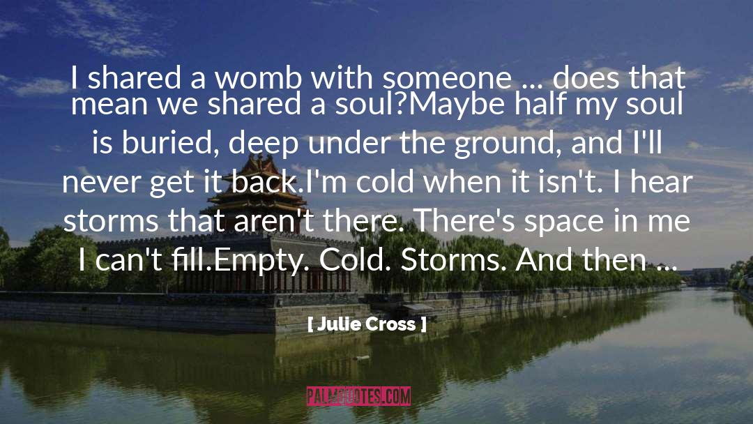 Julie Cross Quotes: I shared a womb with