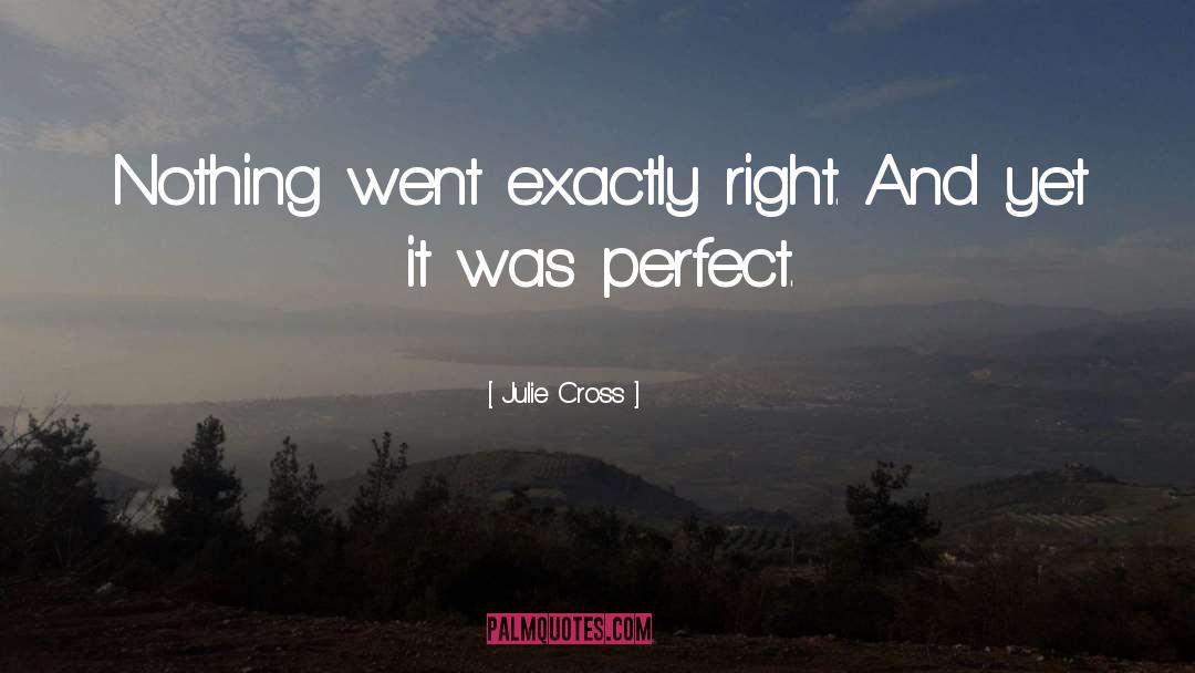 Julie Cross Quotes: Nothing went exactly right. And