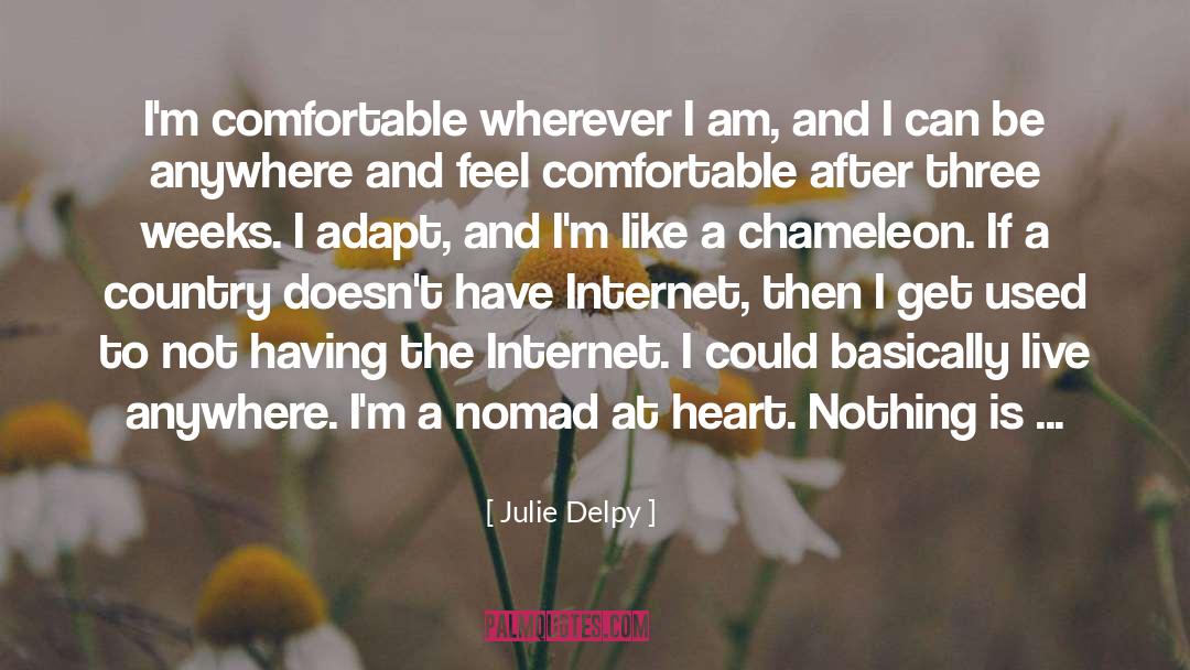 Julie Delpy Quotes: I'm comfortable wherever I am,