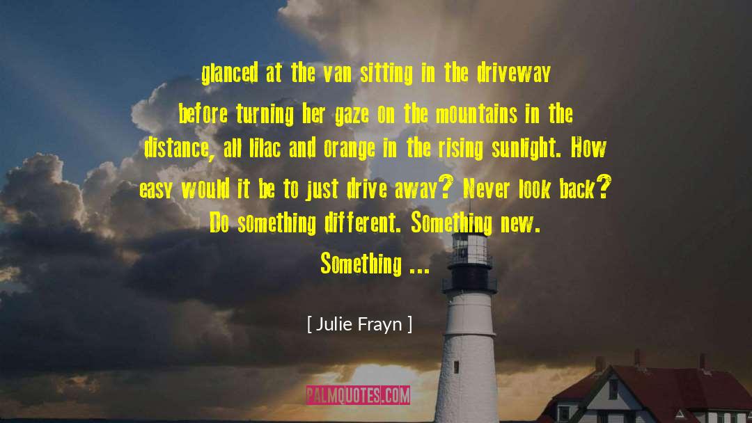 Julie Frayn Quotes: glanced at the van sitting