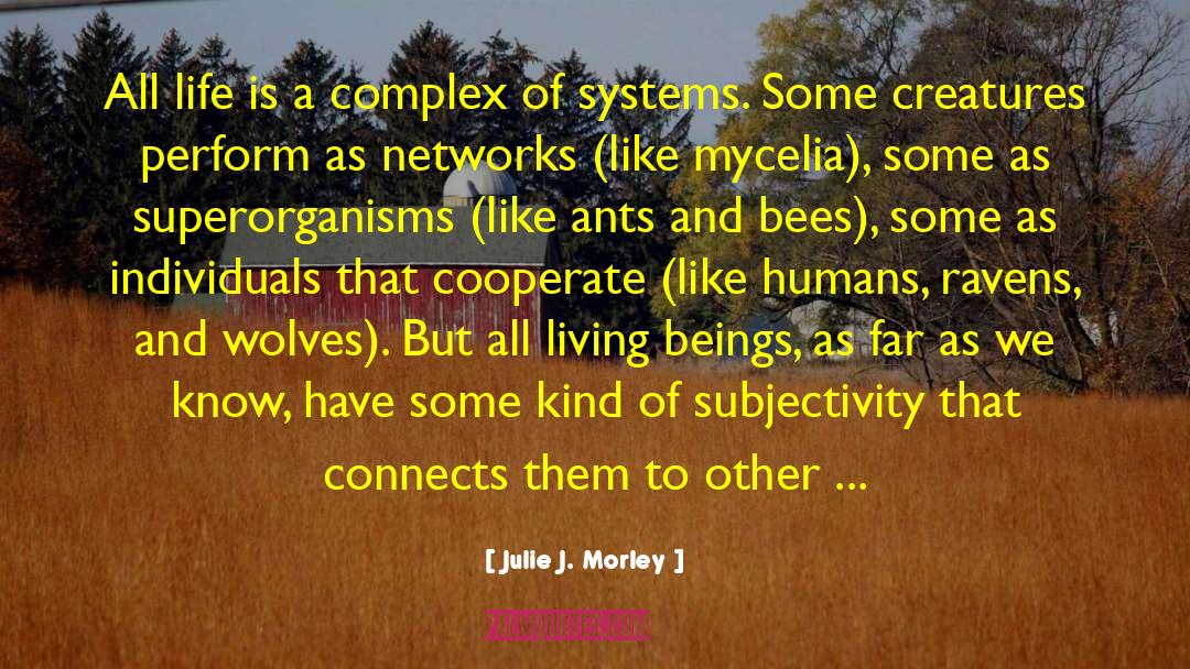 Julie J. Morley Quotes: All life is a complex