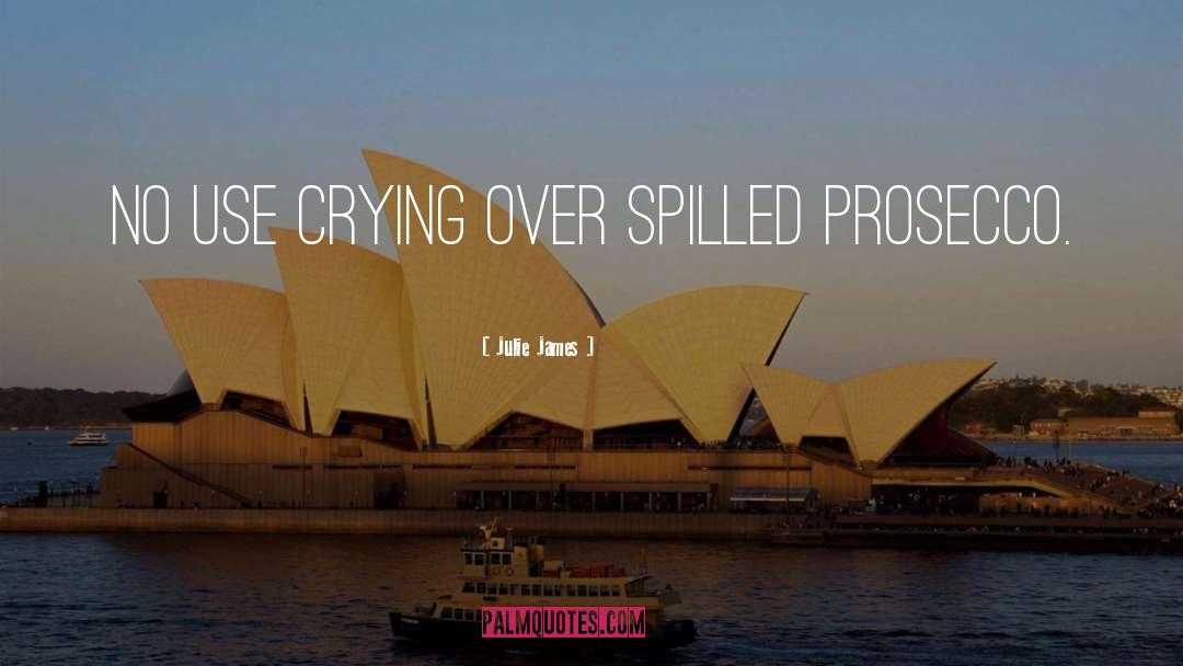 Julie James Quotes: No use crying over spilled