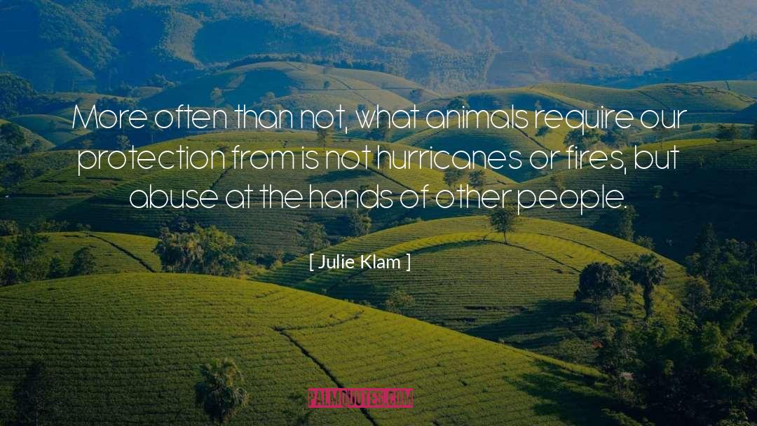 Julie Klam Quotes: More often than not, what