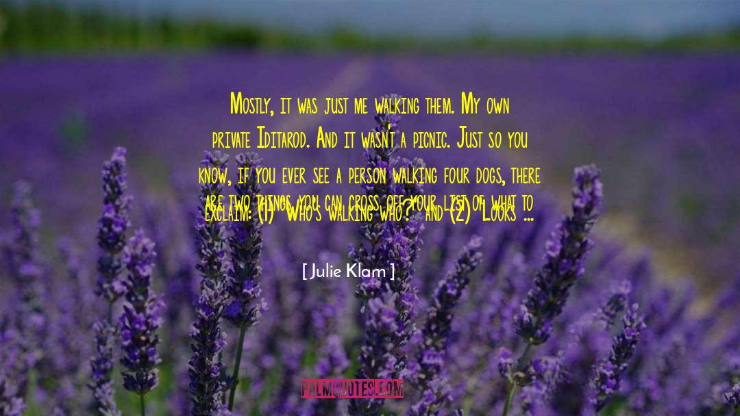 Julie Klam Quotes: Mostly, it was just me