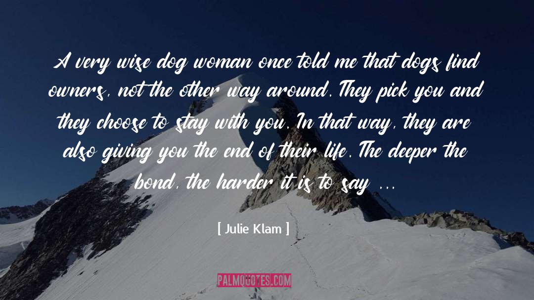 Julie Klam Quotes: A very wise dog woman