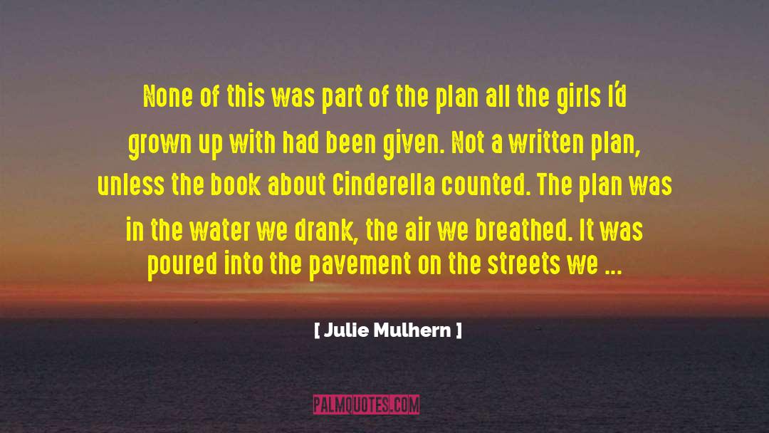 Julie Mulhern Quotes: None of this was part