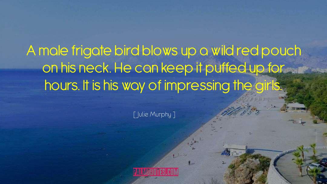 Julie Murphy Quotes: A male frigate bird blows
