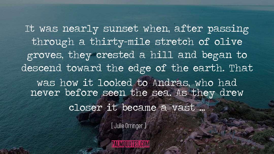 Julie Orringer Quotes: It was nearly sunset when,