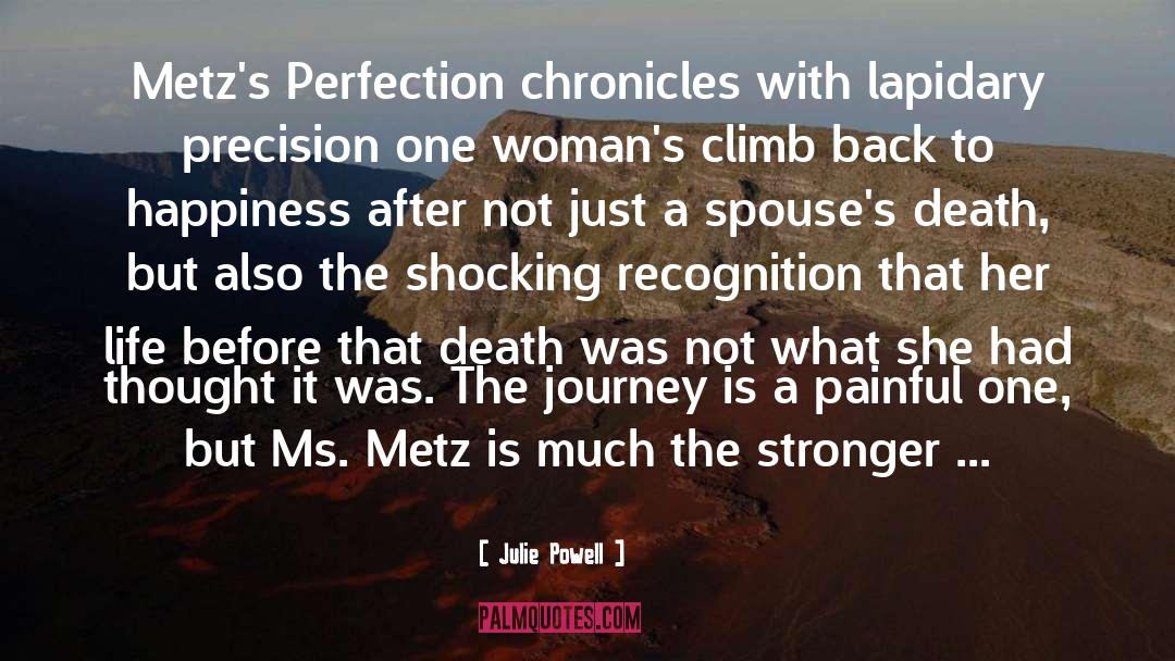 Julie Powell Quotes: Metz's Perfection chronicles with lapidary