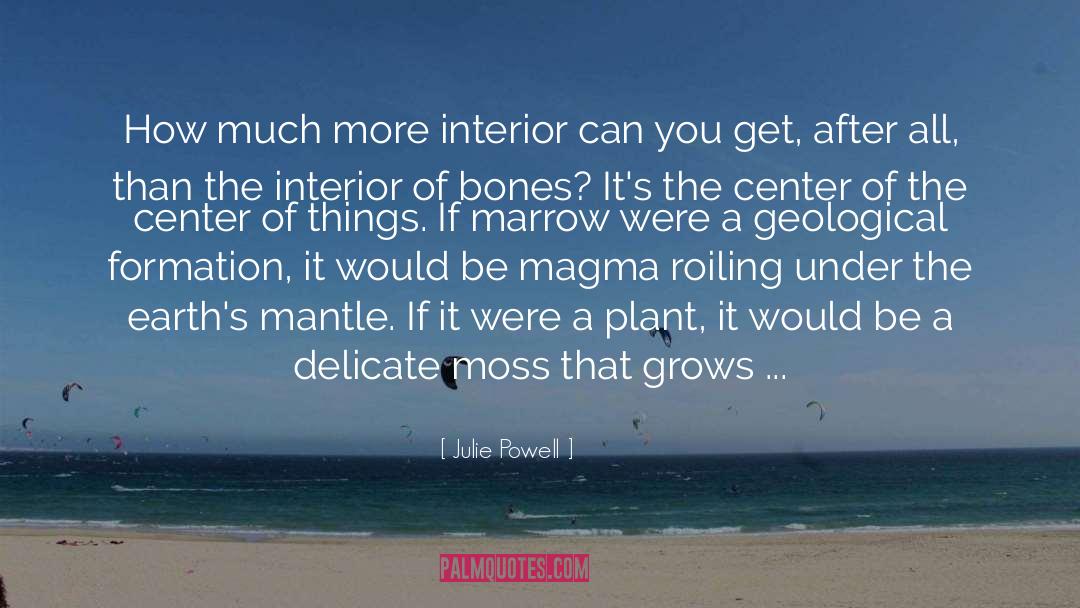 Julie Powell Quotes: How much more interior can