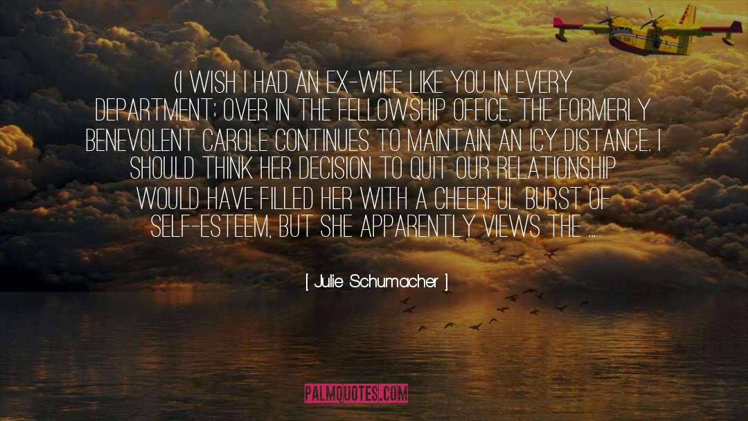 Julie Schumacher Quotes: (I wish I had an