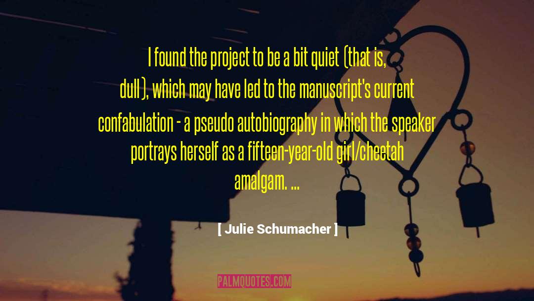 Julie Schumacher Quotes: I found the project to