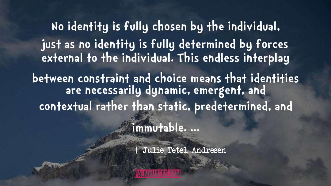 Julie Tetel Andresen Quotes: No identity is fully chosen