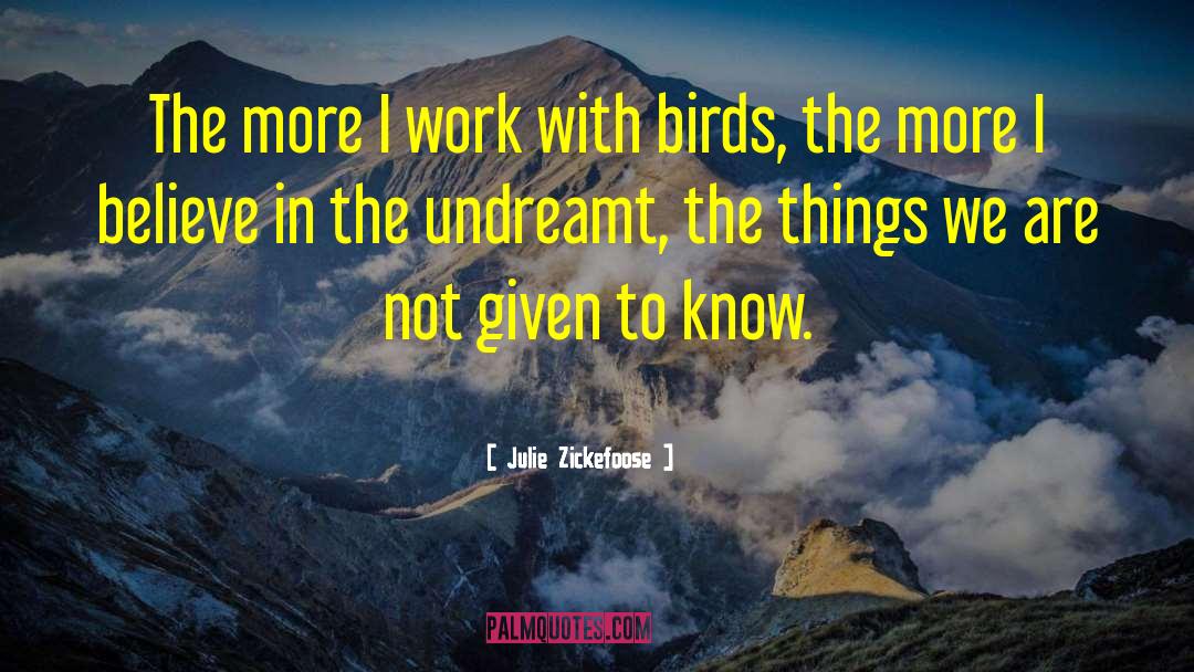 Julie Zickefoose Quotes: The more I work with