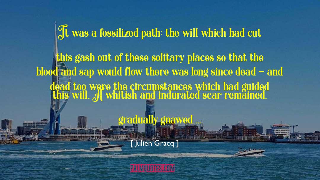 Julien Gracq Quotes: It was a fossilized path: