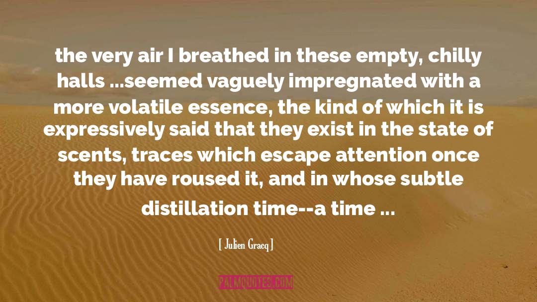 Julien Gracq Quotes: the very air I breathed