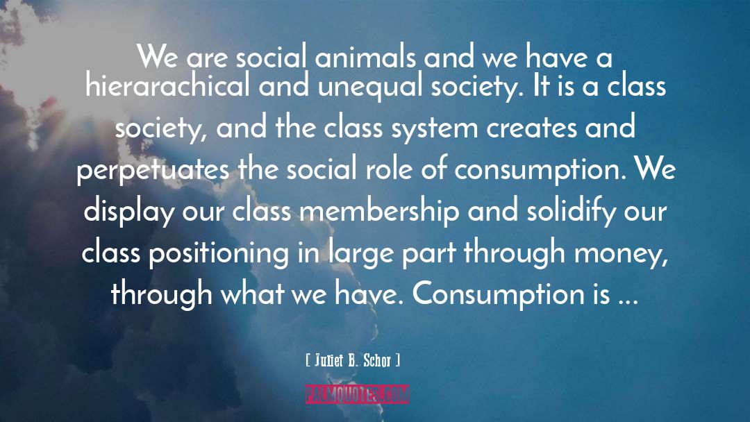 Juliet B. Schor Quotes: We are social animals and