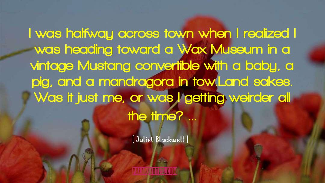 Juliet Blackwell Quotes: I was halfway across town