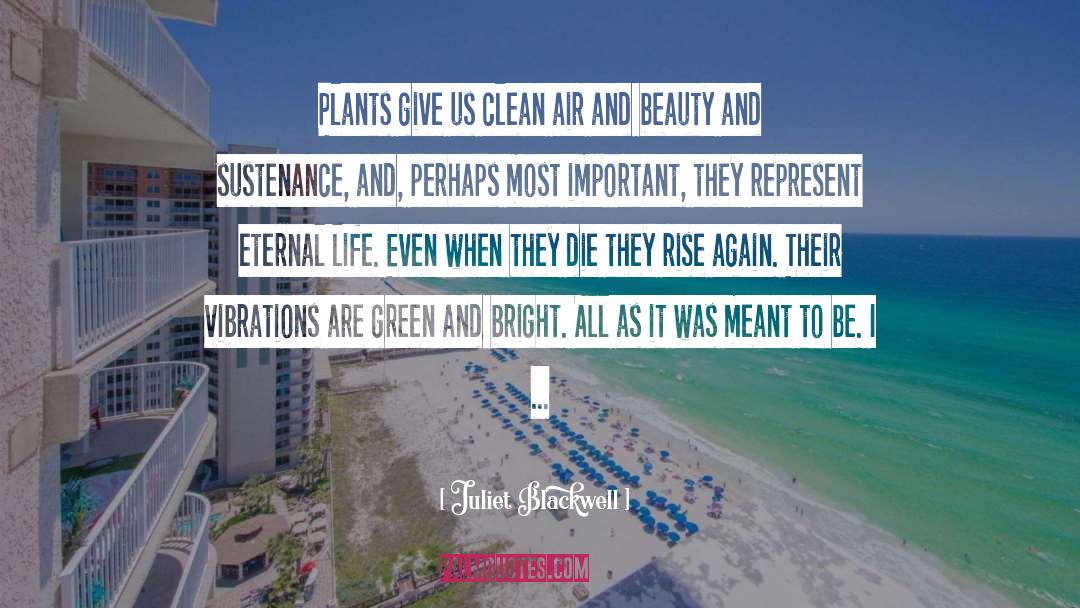 Juliet Blackwell Quotes: Plants give us clean air