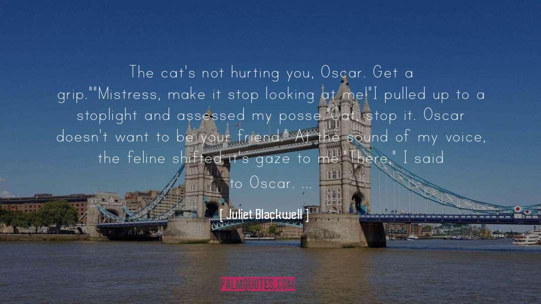 Juliet Blackwell Quotes: The cat's not hurting you,
