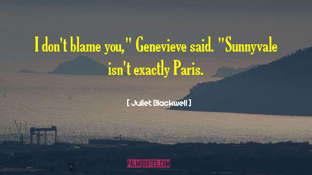 Juliet Blackwell Quotes: I don't blame you,