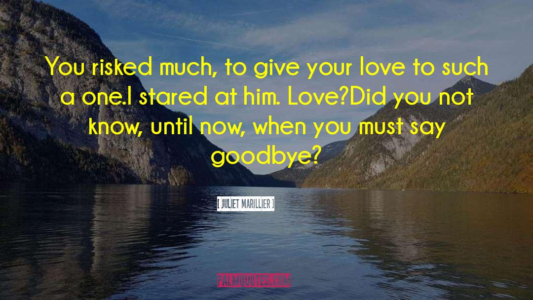 Juliet Marillier Quotes: You risked much, to give