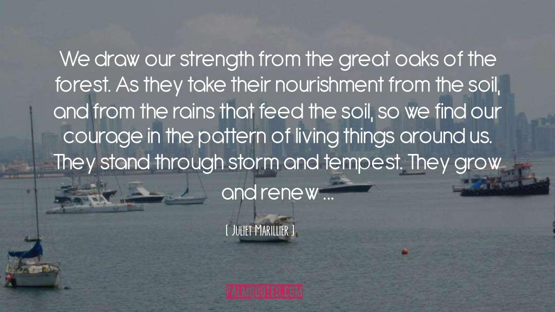 Juliet Marillier Quotes: We draw our strength from