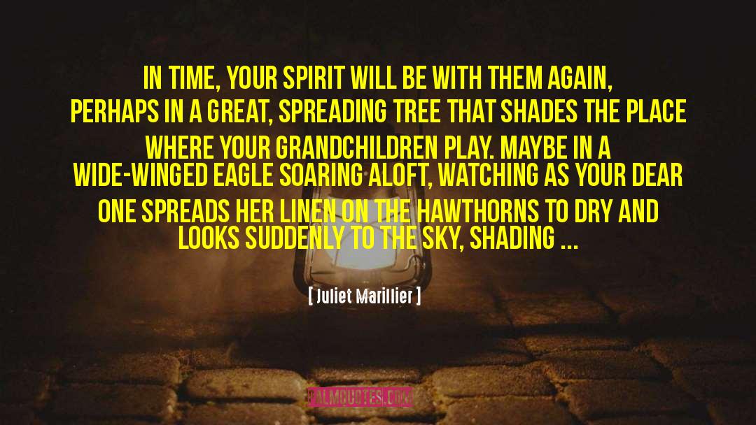 Juliet Marillier Quotes: In time, your spirit will