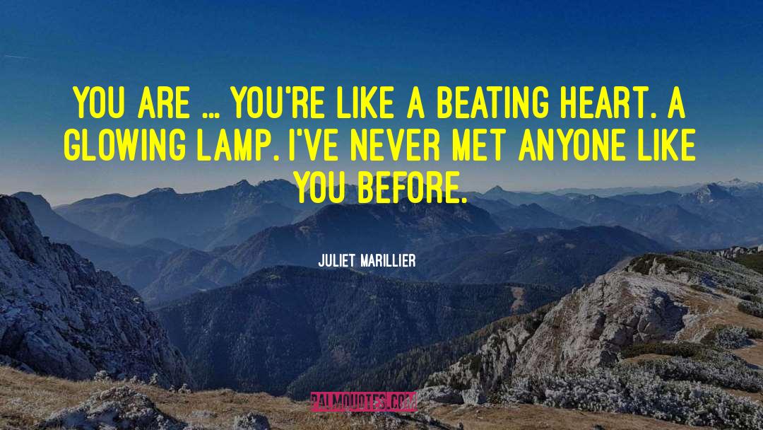 Juliet Marillier Quotes: You are ... you're like