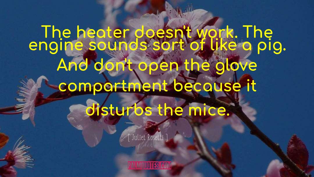 Juliet Rosetti Quotes: The heater doesn't work. The