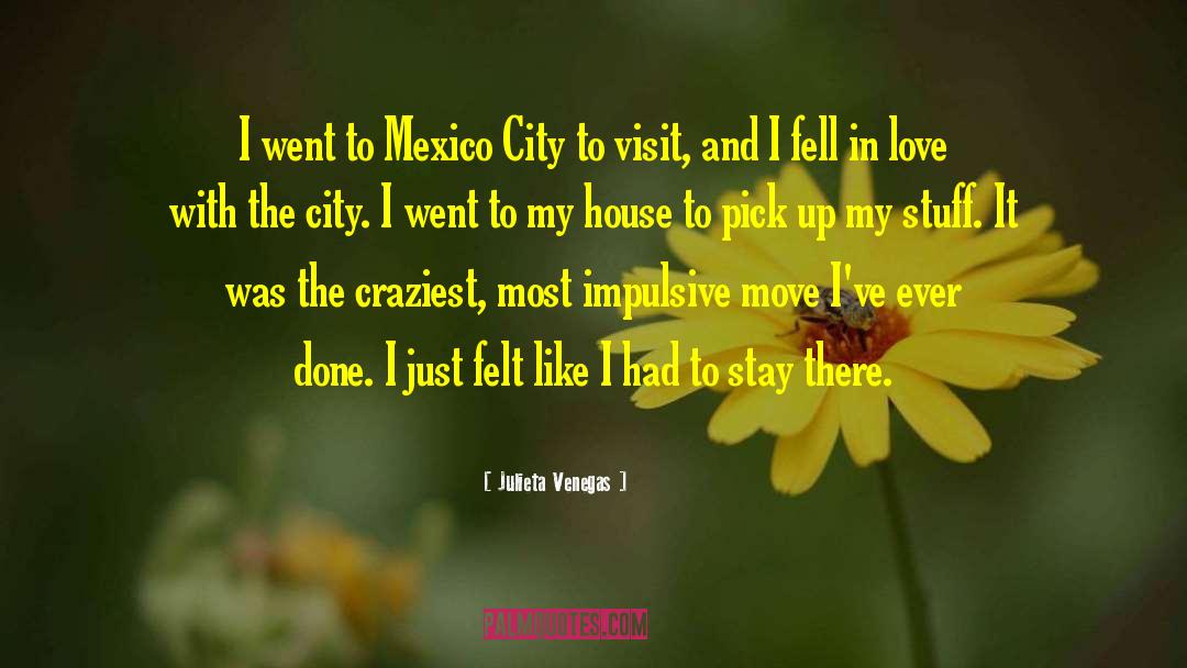 Julieta Venegas Quotes: I went to Mexico City