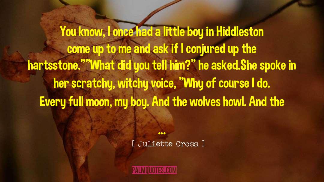 Juliette Cross Quotes: You know, I once had