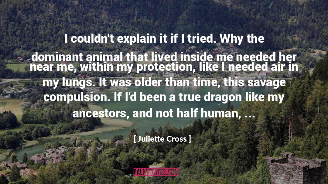 Juliette Cross Quotes: I couldn't explain it if