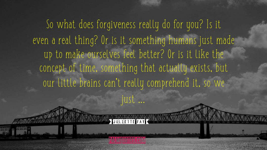 Juliette Fay Quotes: So what does forgiveness really