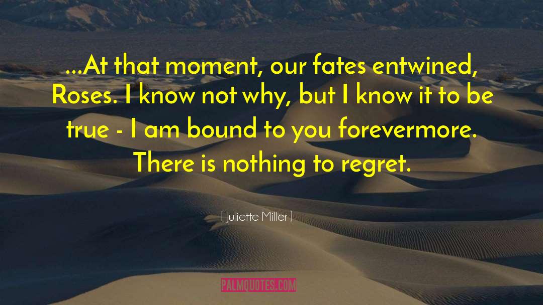 Juliette Miller Quotes: ...At that moment, our fates