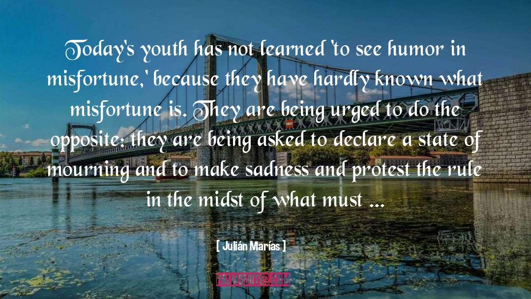 Julián Marías Quotes: Today's youth has not learned