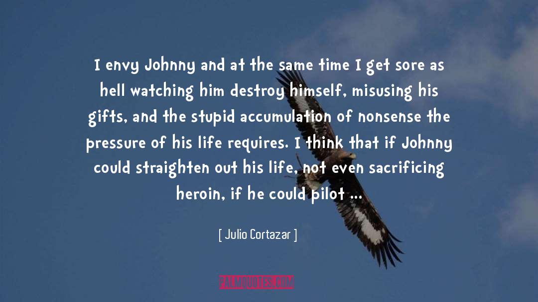 Julio Cortazar Quotes: I envy Johnny and at