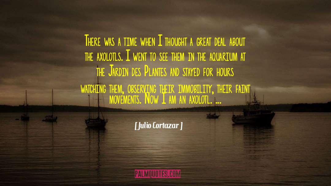 Julio Cortazar Quotes: There was a time when