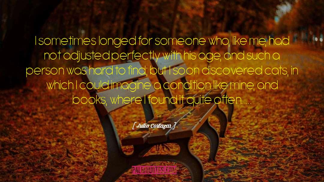 Julio Cortazar Quotes: I sometimes longed for someone