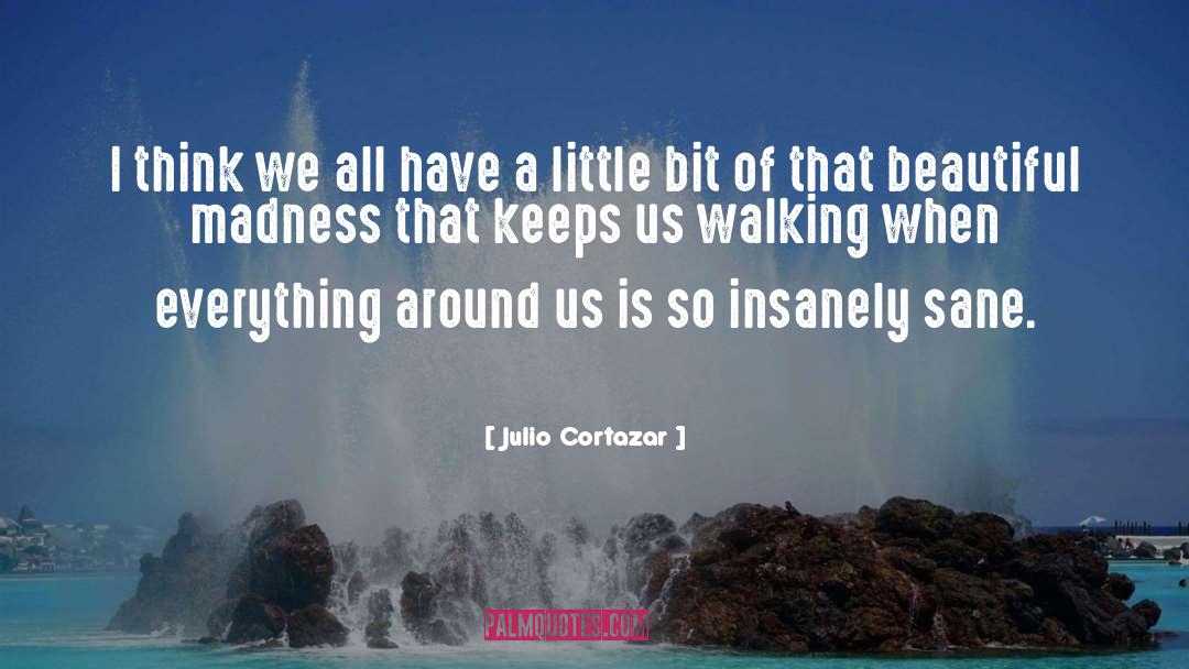 Julio Cortazar Quotes: I think we all have
