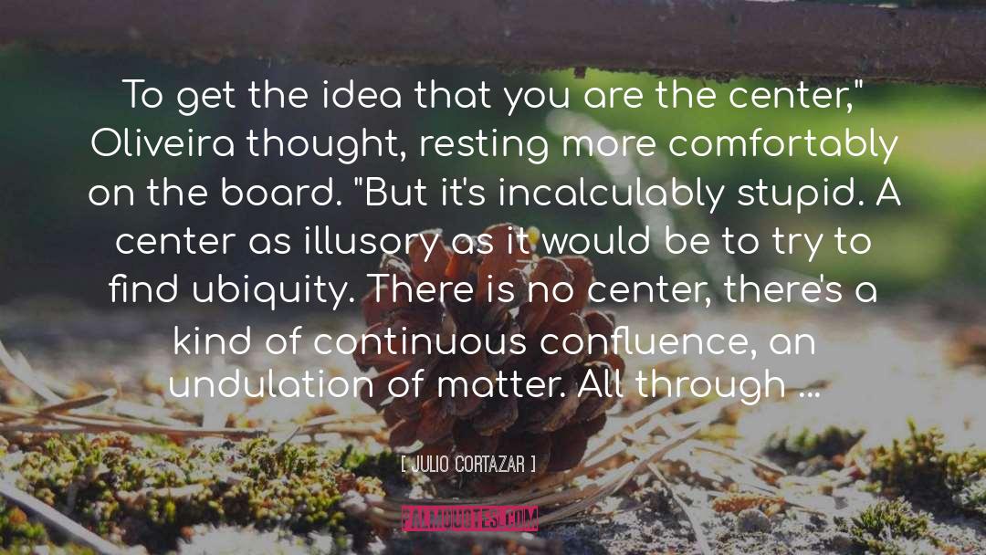 Julio Cortazar Quotes: To get the idea that