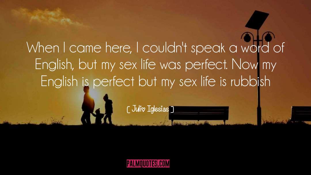 Julio Iglesias Quotes: When I came here, I