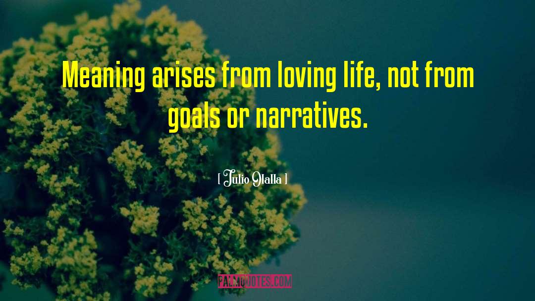 Julio Olalla Quotes: Meaning arises from loving life,