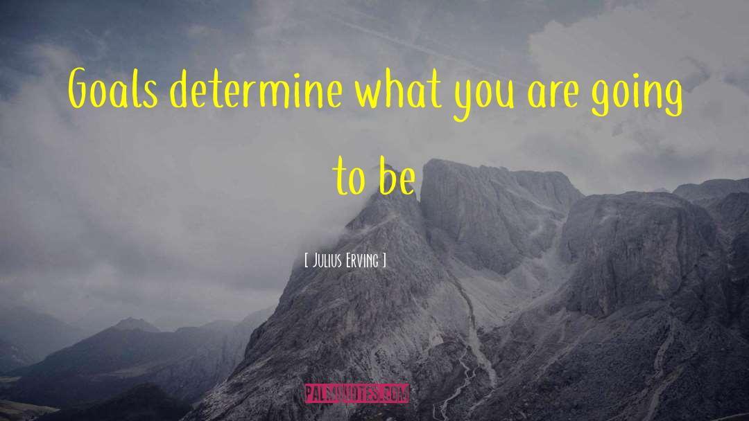 Julius Erving Quotes: Goals determine what you are