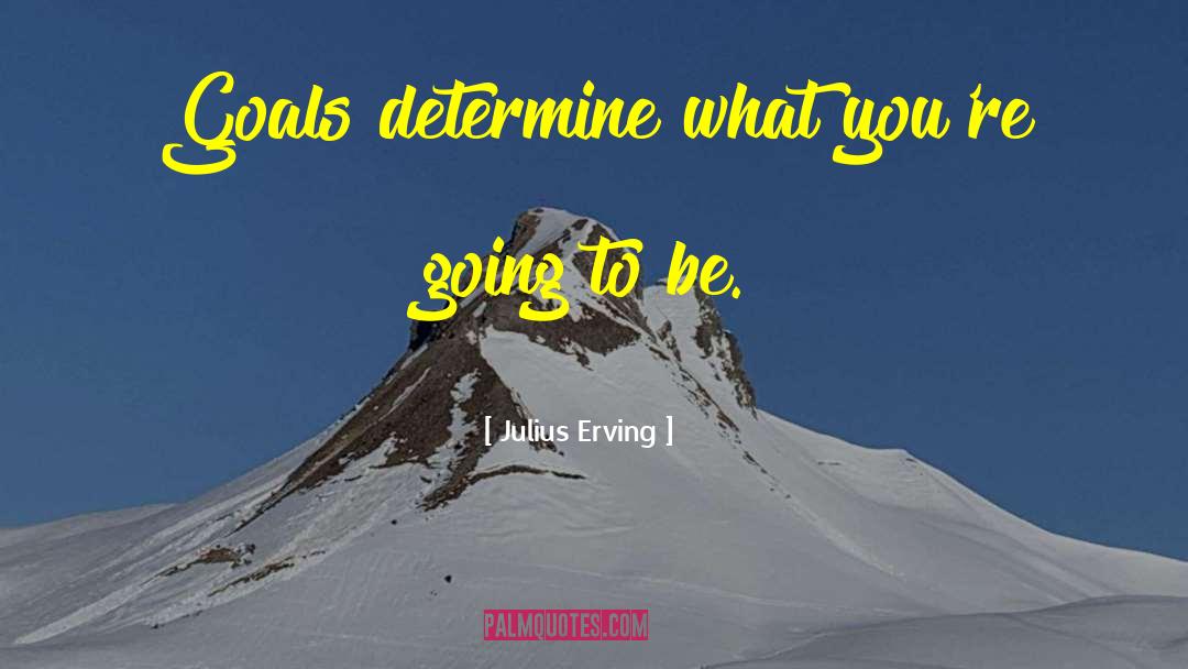 Julius Erving Quotes: Goals determine what you're going