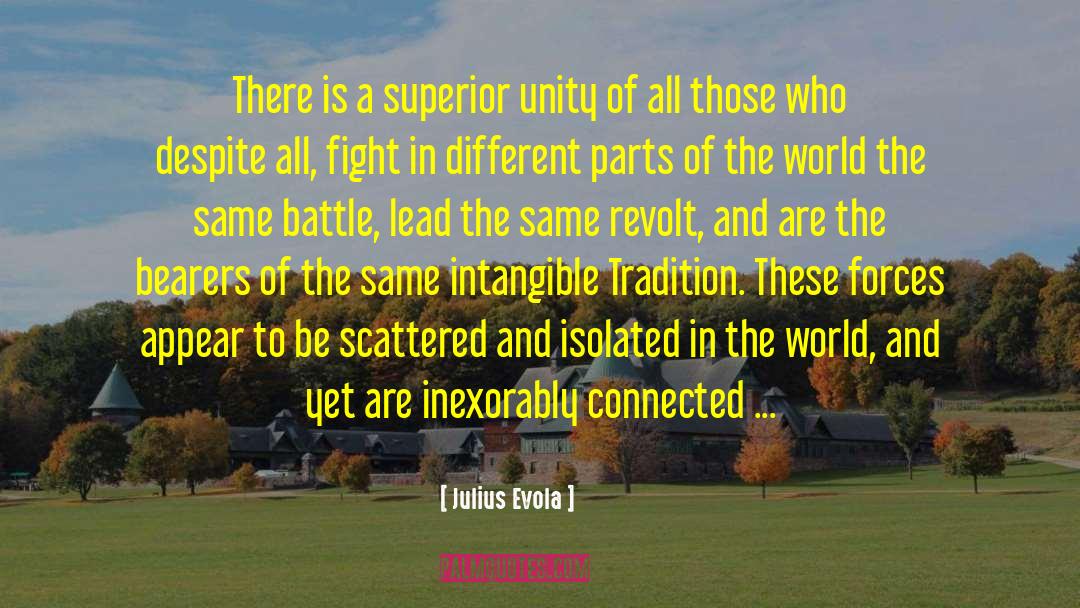 Julius Evola Quotes: There is a superior unity