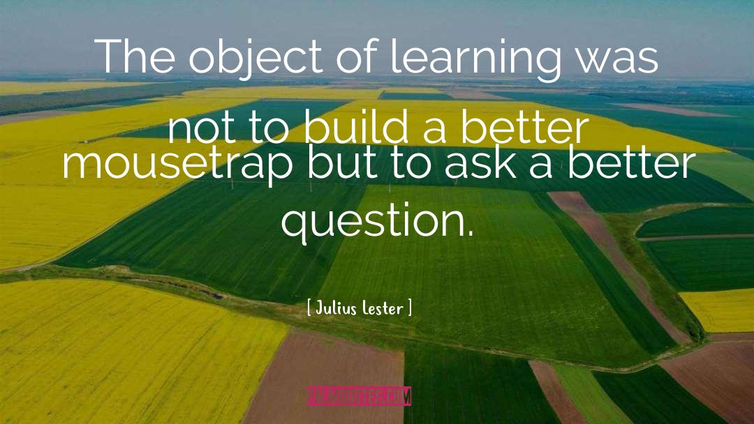 Julius Lester Quotes: The object of learning was