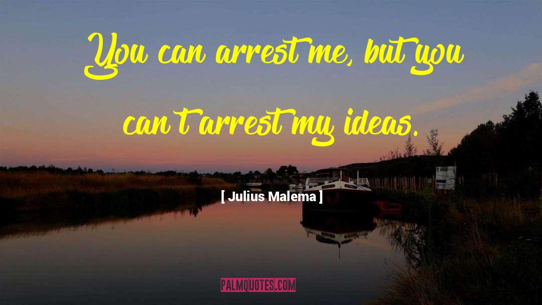 Julius Malema Quotes: You can arrest me, but